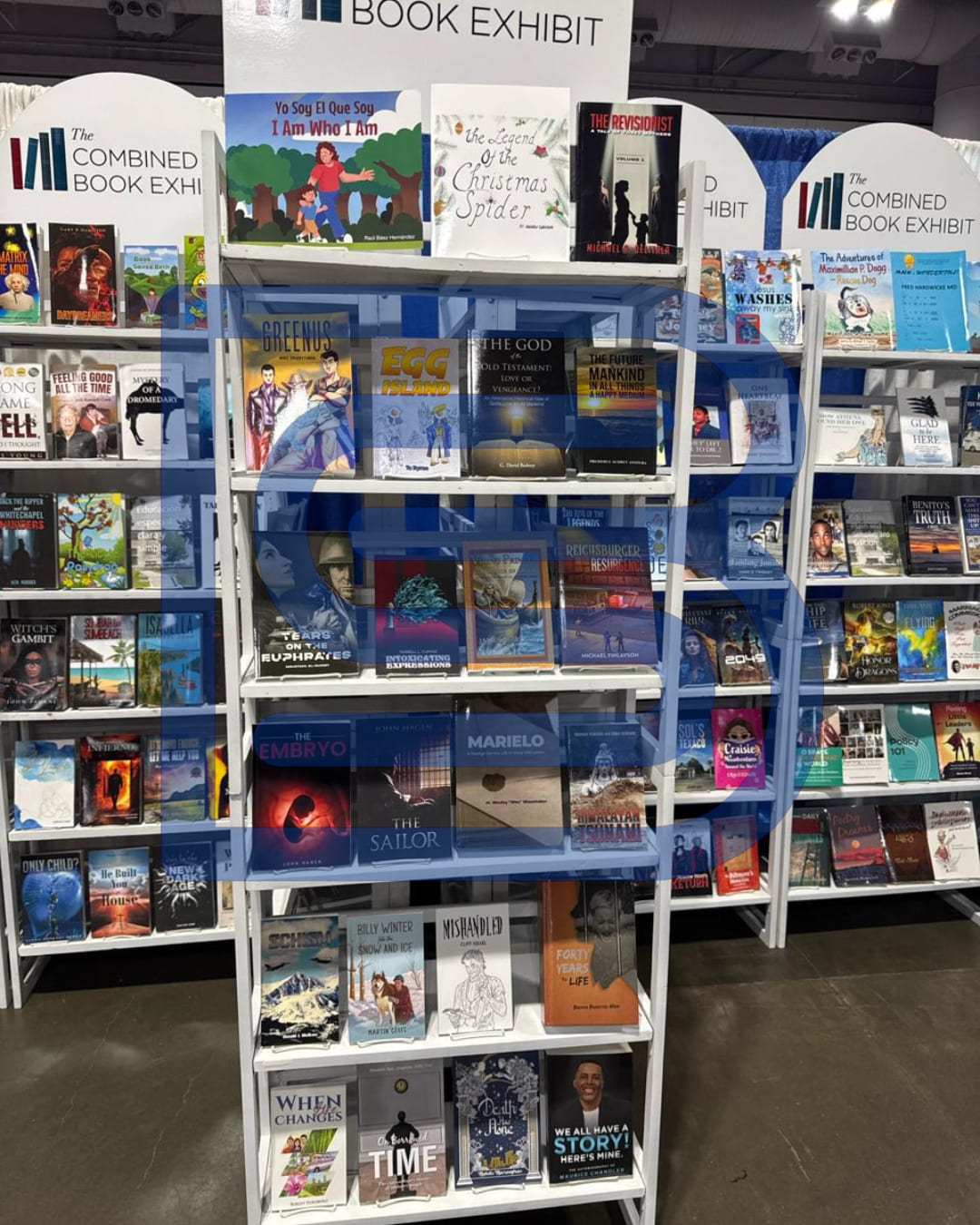 Young adult book cover design